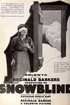Snowblind (1921) afişi
