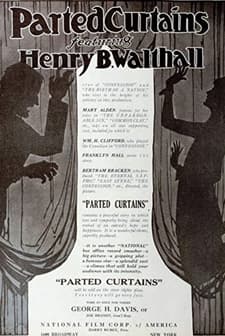 Parted Curtains (1920) afişi