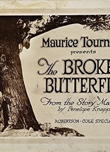 The Broken Butterfly (1919) afişi