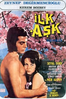 İlk Aşk (1972) afişi