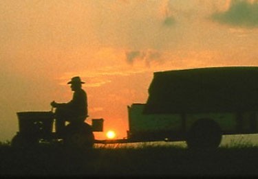 Straight'in Hikayesi Fotoğrafı