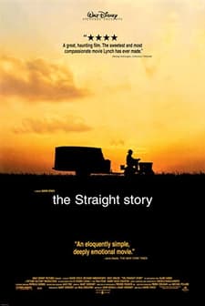 Straight'in Hikayesi (1999) afişi