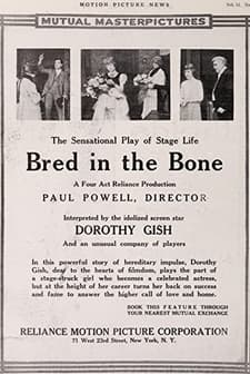 Bred In The Bone (1915) afişi