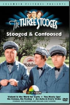 No Census, No Feeling (1940) afişi