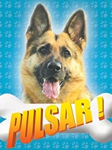 Pulsar (2008) afişi