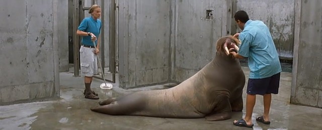 50 İlk Öpücük Fotoğrafı