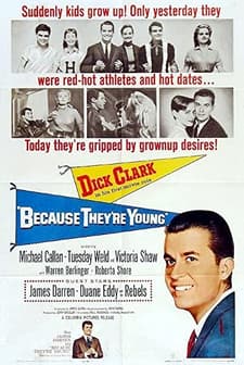 Because They're Young (1960) afişi