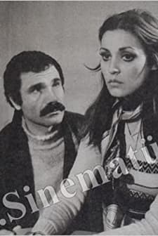 Merhaba (1976) afişi