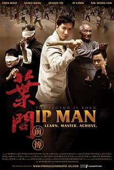Ip Man Efsane Doğuyor (2010) afişi