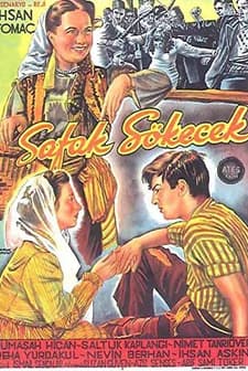 Şafak Sökecek (1951) afişi