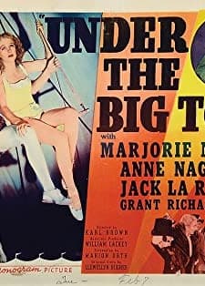 Under The Big Top (1938) afişi