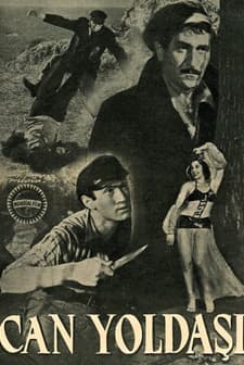 Can Yoldaşı (1952) afişi