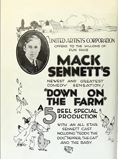 Down on the Farm (1920) afişi
