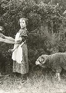 It's a Boy (1920) afişi