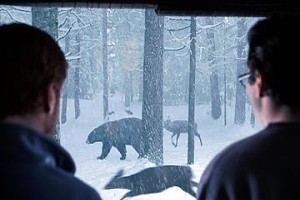 Düş Kapanı Fotoğrafı