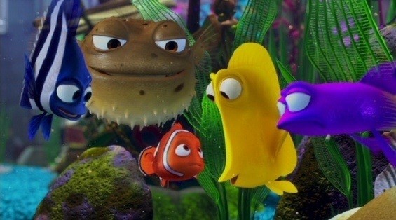 Kayıp Balık Nemo fotoğrafı