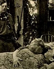 Broncho Billy And The Outlaw's Mother (1913) afişi