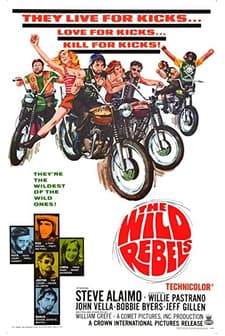Wild Rebels (1967) afişi