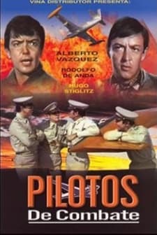 Pilotos De Combate (1973) afişi