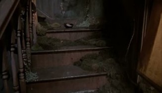 Hayvan Mezarlığı Fotoğrafı