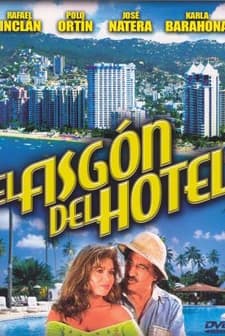 El Fisgón Del Hotel (1993) afişi
