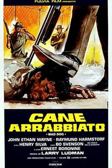 The Manhunt (1984) afişi