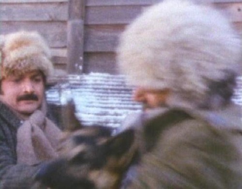 Zanna Bianca Alla Riscossa fotoğrafı