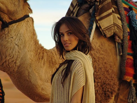 Aşkın Peşinde Fotoğrafı