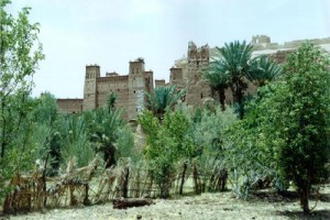 Aşkın Peşinde Fotoğrafı