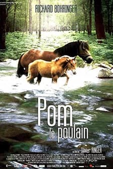 Pom, Le Poulain (2006) afişi