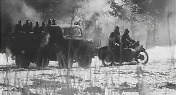 Jarzebina Czerwona fotoğrafı