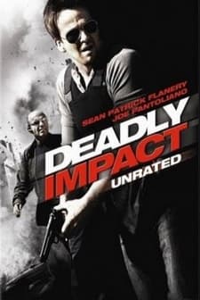 Ölümcül Darbe (2009) afişi