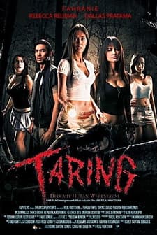 Taring (2010) afişi