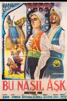 Bu Nasıl Aşk? (1953) afişi