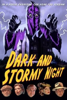 Dark And Stormy Night (2009) afişi