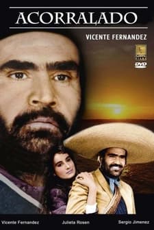 Acorralado (1984) afişi