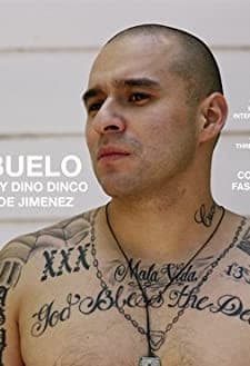 El Abuelo (2008) afişi