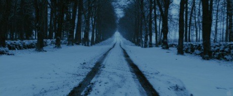 Ejderha Dövmeli Kız Fotoğrafı