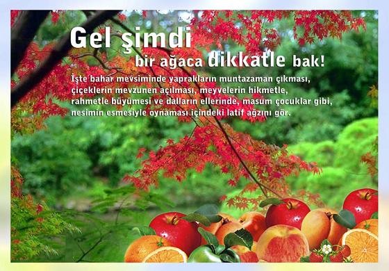 Hayvanların Efendisi Fotoğrafı