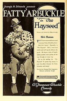 The Hayseed (1919) afişi