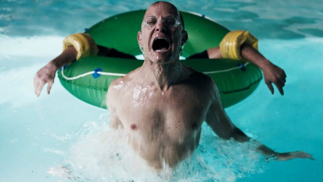 Mükemmel Misafir Fotoğrafı