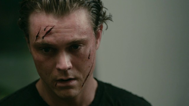 Mükemmel Misafir Fotoğrafı