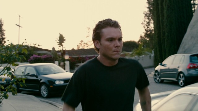 Mükemmel Misafir Fotoğrafı