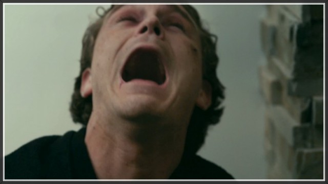 Mükemmel Misafir Fotoğrafı