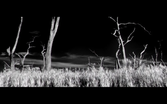 Ziyaretçiler fotoğrafı