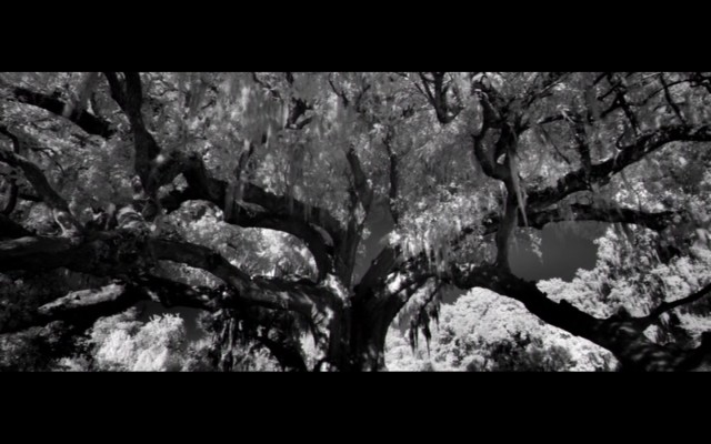 Ziyaretçiler Fotoğrafı