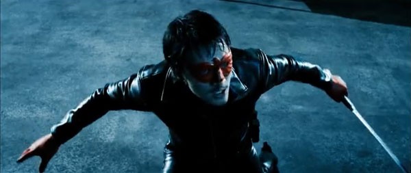 Kızıl Kartal Fotoğrafı