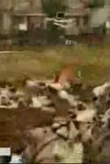 Altyapı (2007) afişi