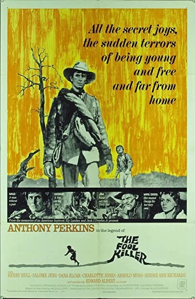The Fool Killer (1965) afişi