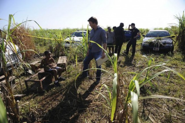 The Glades fotoğrafı